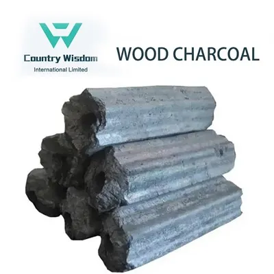 BBQ-ruoanlaitto puhtaalla puuhiilellä